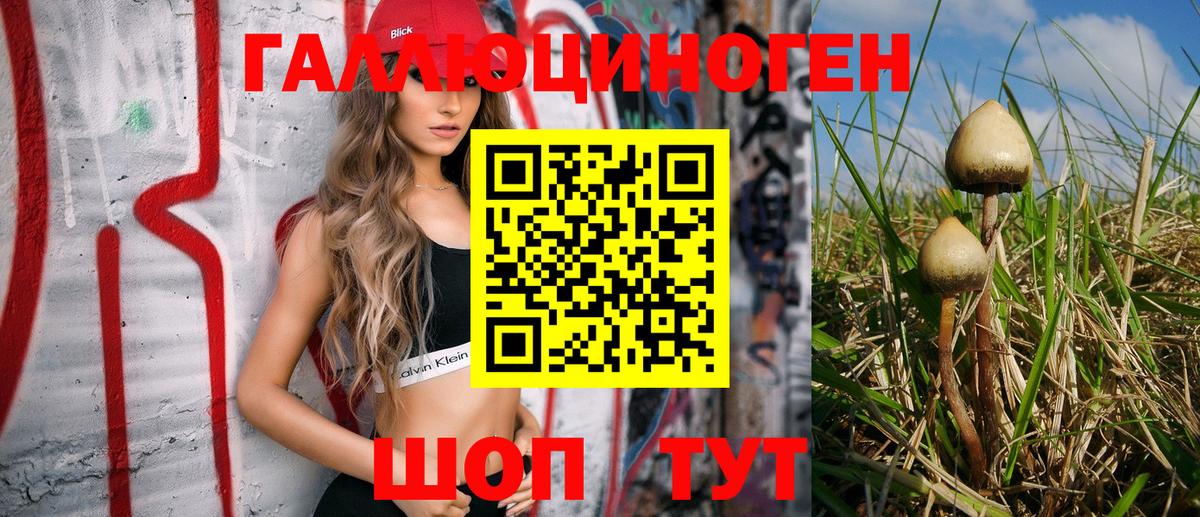 Псилоцибиновые грибы MAGIC MUSHROOMS  Вход с VPN  Новоалтайск 